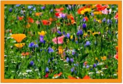 Bloemenmengsels